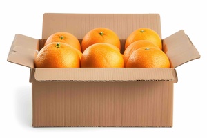 地域物産 / 果物